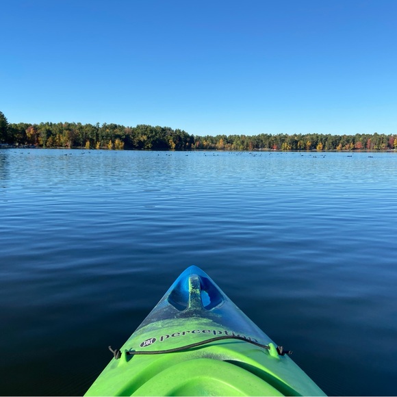Meet your Posher, Mary - Picture 1 of 2